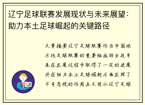 辽宁足球联赛发展现状与未来展望：助力本土足球崛起的关键路径
